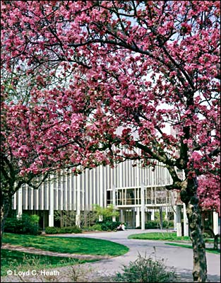 Balmer Hall / balmer.jpg balmer.jpg
