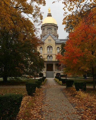 golden dome.jpg golden dome.jpg