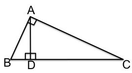RightTri-Prop.jpg RightTri-Prop.jpg