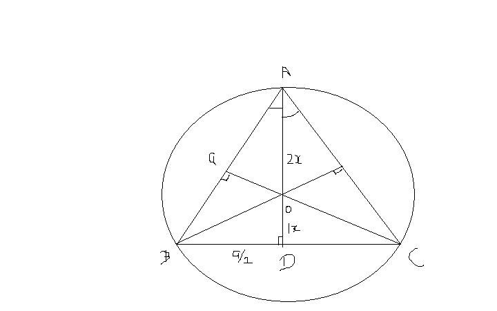 Figure / image.JPG image.JPG