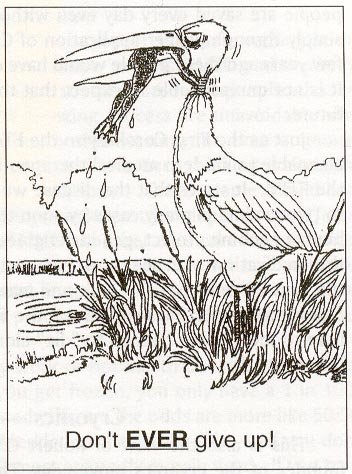 grossmanbird.jpg grossmanbird.jpg