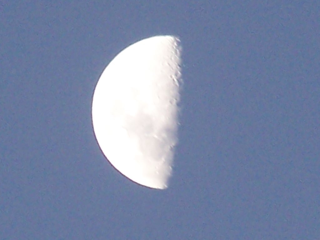 Here's my pic! :D / 100_0676.JPG 100_0676.JPG
