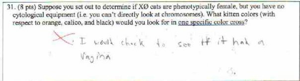 cat.jpg cat.jpg