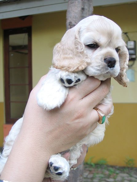 Chloe Baby.jpg Chloe Baby.jpg