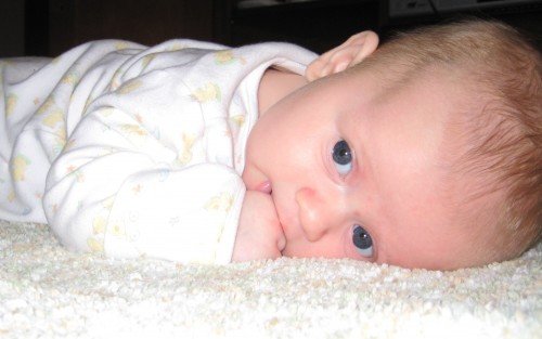 1590771-Bryce009.jpg 1590771-Bryce009.jpg