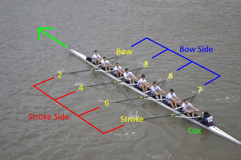 Stroke and bow sides.jpg