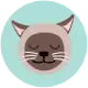 Animated cat avatar wearing business suit and tie, professional style