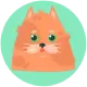 Animated cat avatar with graduation cap celebrating, cheerful style