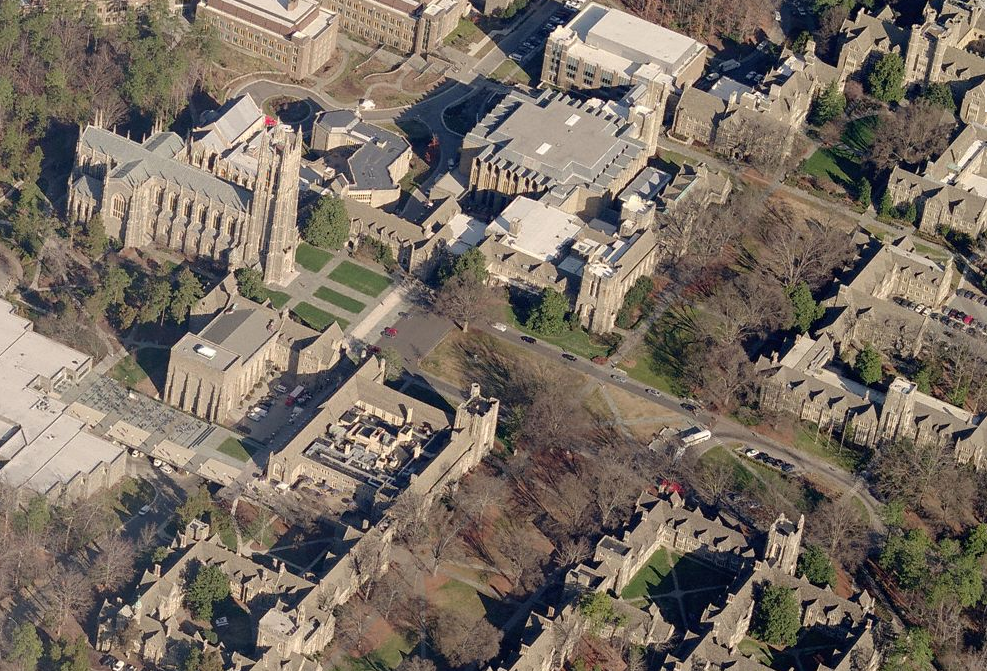 Duke.png