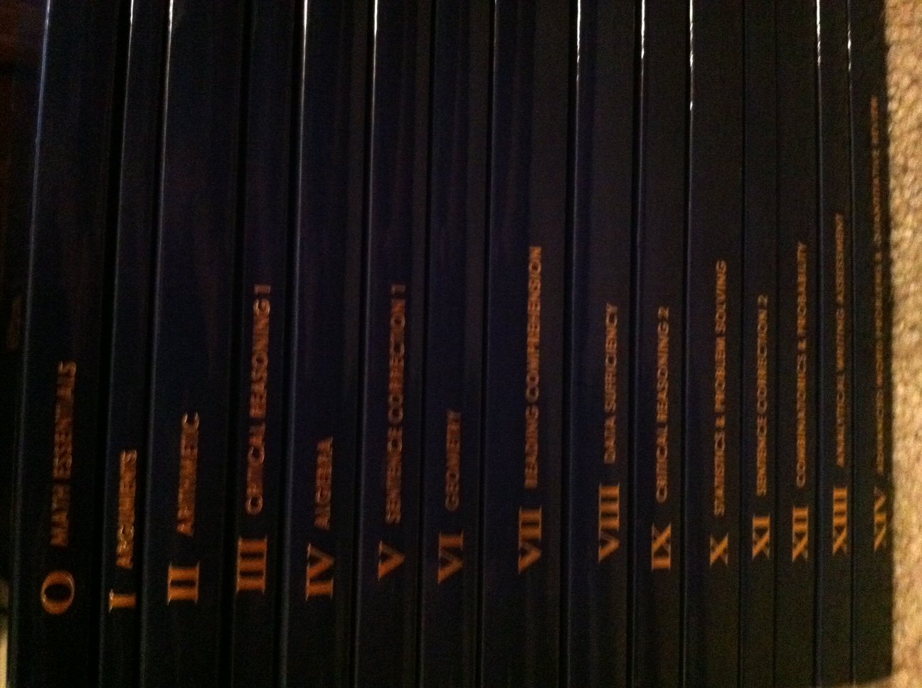 photo-3.JPG