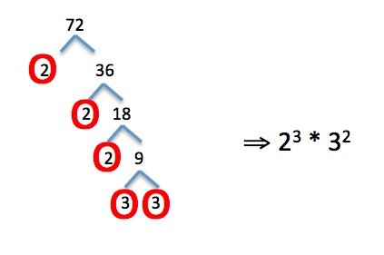 PS 110 - prime factorization.jpg