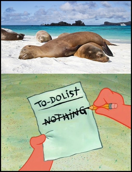 word vegetate.jpg