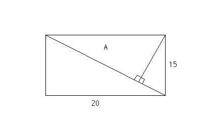 GEOM.JPG