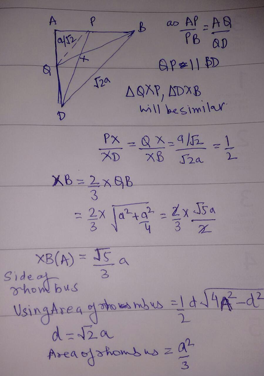 WhatsApp Image 2018-05-16 at 10.29.46 PM.jpeg