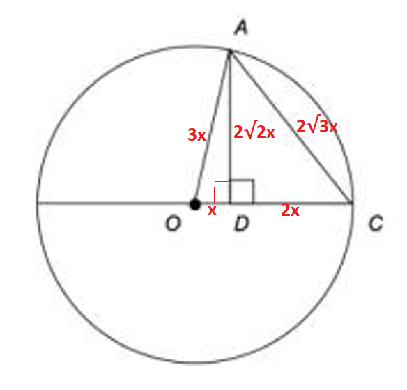 Circle ratio.PNG