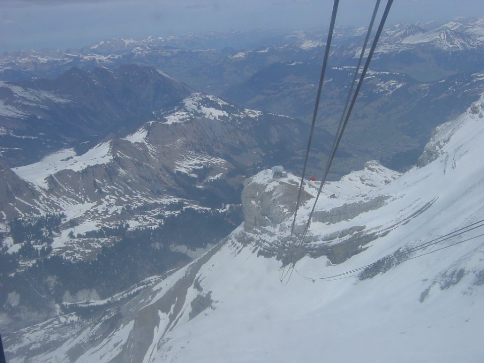 DSC00446.JPG