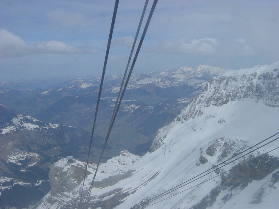DSC00445.JPG