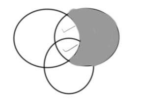 24th May 2019 - Reply 4 -4.JPG