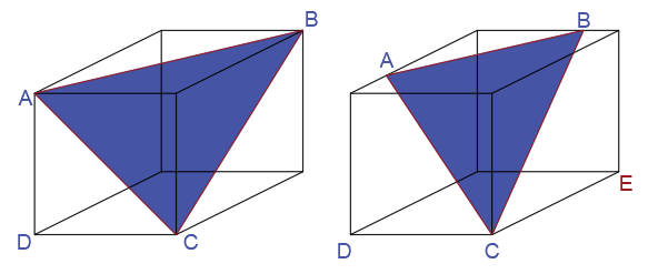 The figure above shows a piece of cheese.png