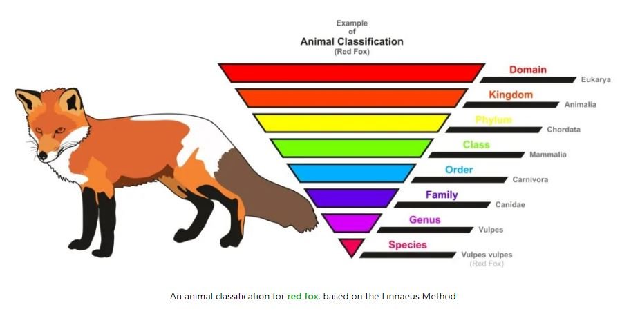 Genus-Species-Relationship.JPG