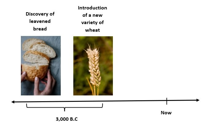 wheat.jpg