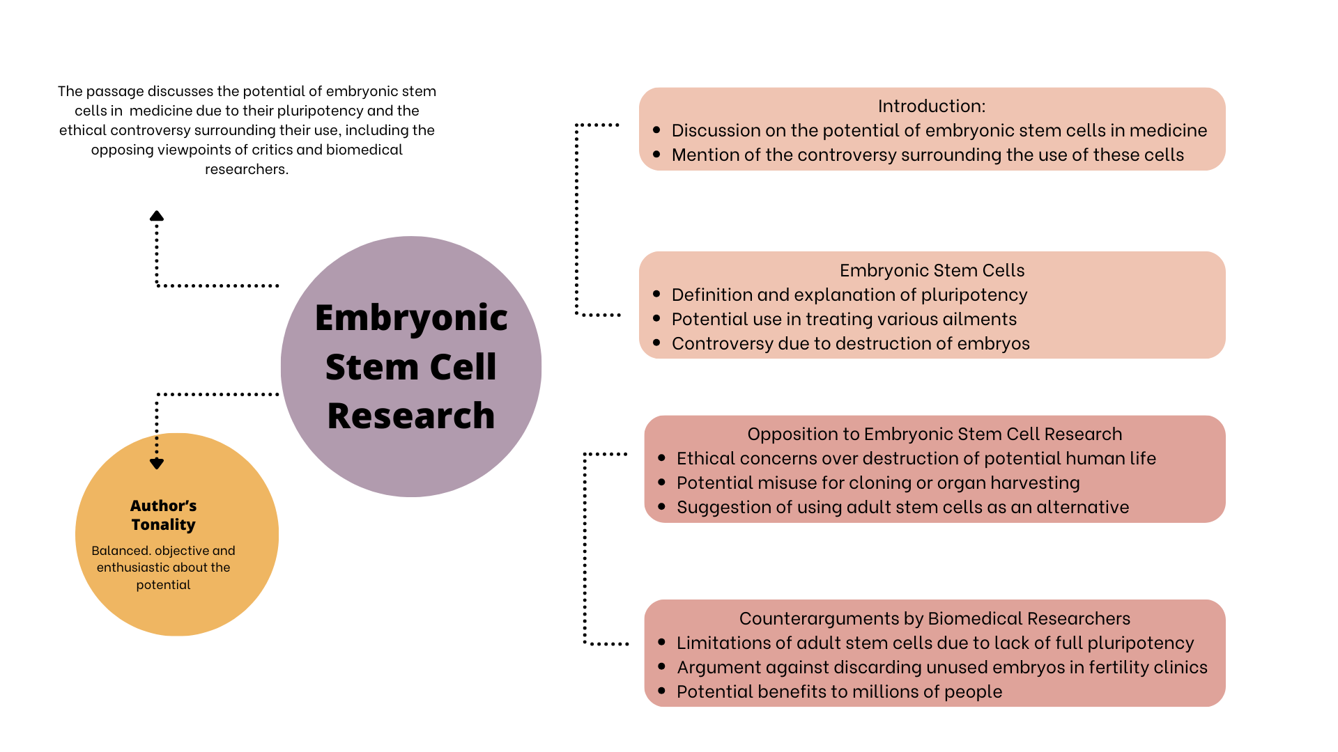 Embryonic Stem Cell Research.png