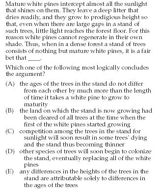pine trees.jpg